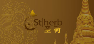 中聯(lián)星空最新簽約項目:泰國圣荷豐胸美體養(yǎng)生會